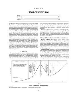 F05 — Two-Phase Flow (I-P)