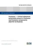 BS PD CEN ISO/TR 16178:2012